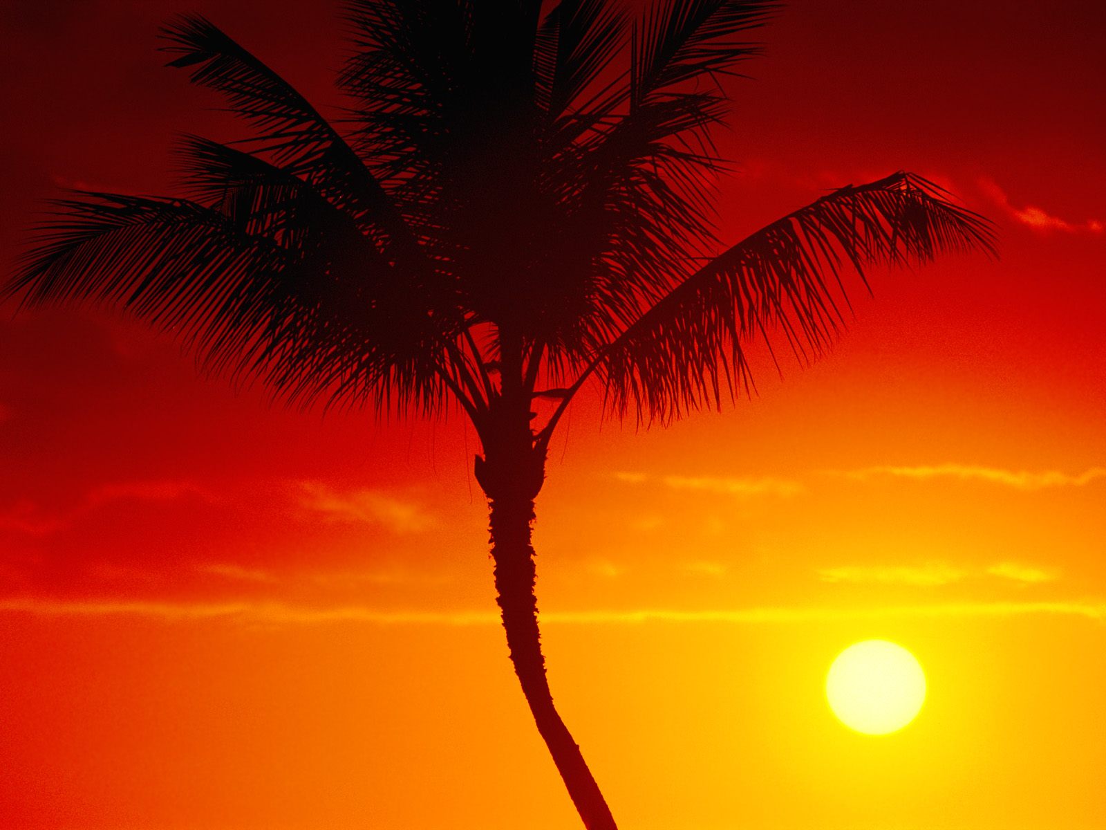Warmth of Summer, Maui, Hawaii